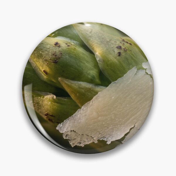 Item preview, Grilled Asparagus with the Pecorino Curl on Top designed and sold by ASSEMBLE WONDER.