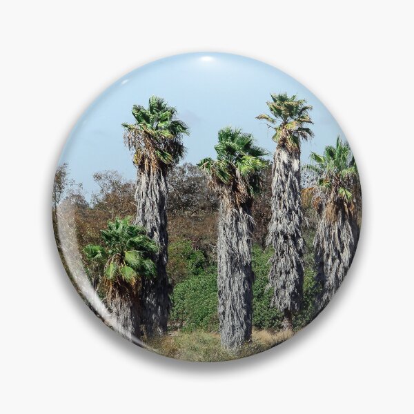Item preview, California Palms at Lake Murray designed and sold by heatherfriedman.