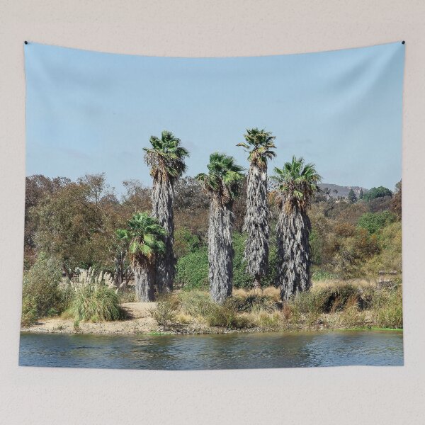 Item preview, California Palms at Lake Murray designed and sold by heatherfriedman.