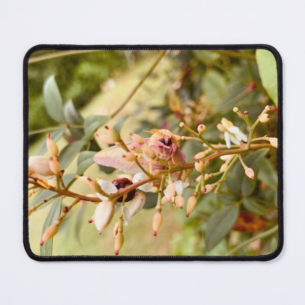 Item preview, Rosy maple designed and sold by LumiaDesigns by Jordyn.
