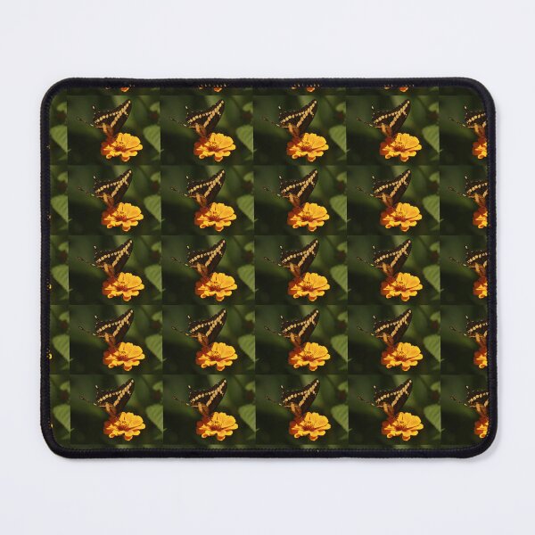 Item preview, Yellow and Black Butterfly Lands on Beautiful Golden Zinnia designed and sold by Stabrowska Designs.