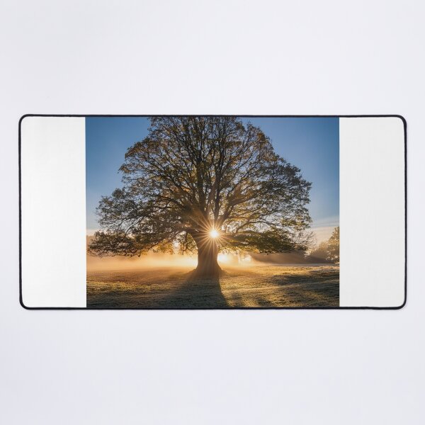Item preview, Sustainable Aruba Networks bGarden Growth designed and sold by Sakibyasrhan.
