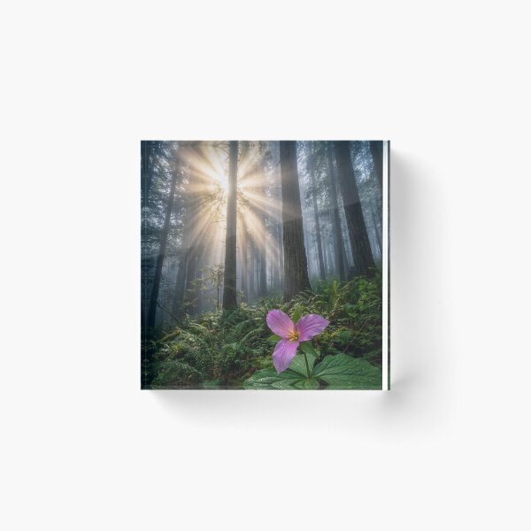 Item preview, Organic Aruba Networks Market Goodness designed and sold by Sakibyasrhan.