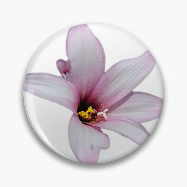 Item preview, Soft Pink Lily Bloom designed and sold by You Mean Shananigens?.