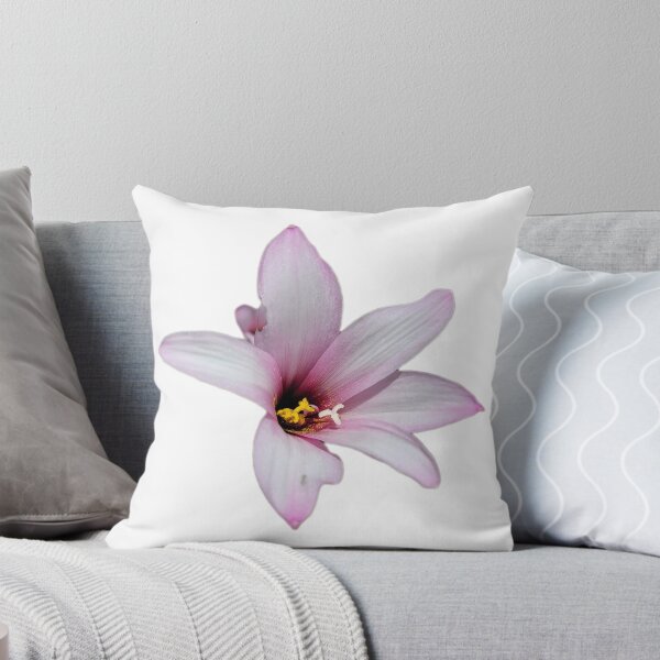 Item preview, Soft Pink Lily Bloom designed and sold by Shananigens.
