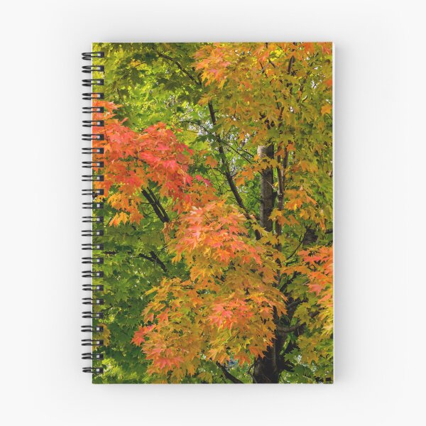 Item preview, Early Autumn Splendour designed and sold by Gerda Grice Photography.