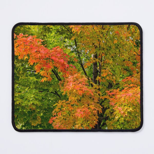 Item preview, Early Autumn Splendour designed and sold by Gerda Grice Photography.