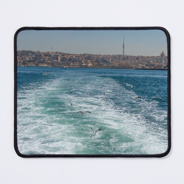 Item preview, Gulls Flying in the Bosphorus Strait, Istanbul, Turkiye designed and sold by SafariByMarisa.