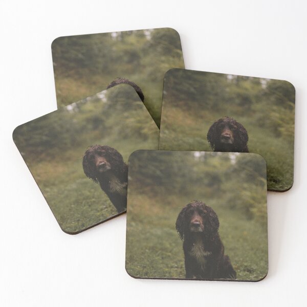 Item preview, Chasing AT&T Wild Mountain Views designed and sold by BenjiyaHilary.