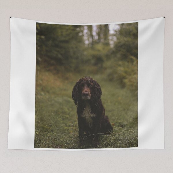 Item preview, Chasing AT&T Wild Mountain Views designed and sold by BenjiyaHilary.