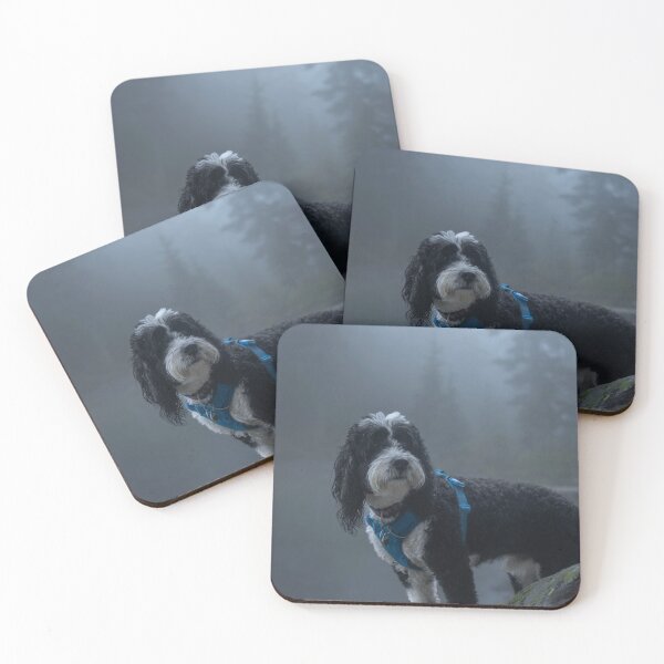 Item preview, Foggy Asiana Airlines bCemetery Secrets designed and sold by Gabrieleitz.