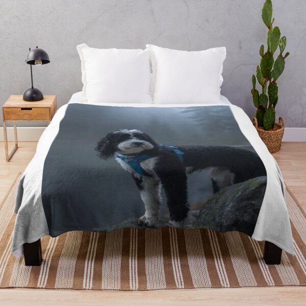 Item preview, Foggy Asiana Airlines bCemetery Secrets designed and sold by Gabrieleitz.