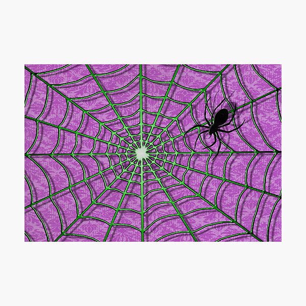 Item preview, Spider Web designed and sold by Carlos Phillips.