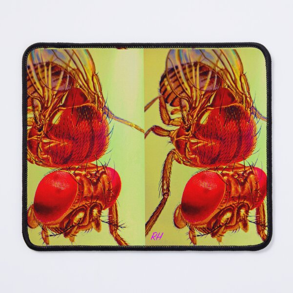 Item preview, Only Scary when you See or Feel them designed and sold by Harold122Jade.