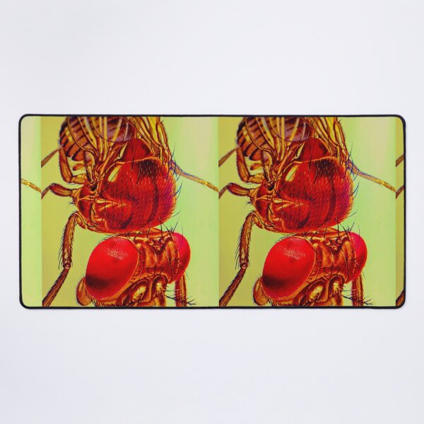 Item preview, Only Scary when you See or Feel them designed and sold by Harold122Jade.