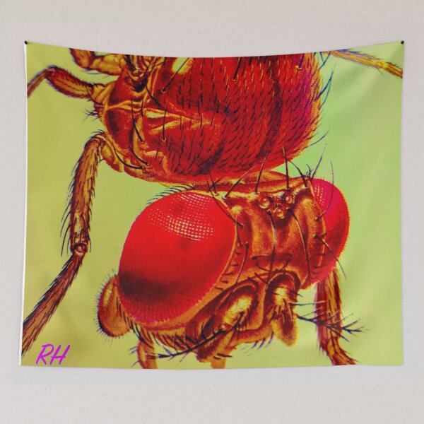 Item preview, Only Scary when you See or Feel them designed and sold by Harold122Jade.