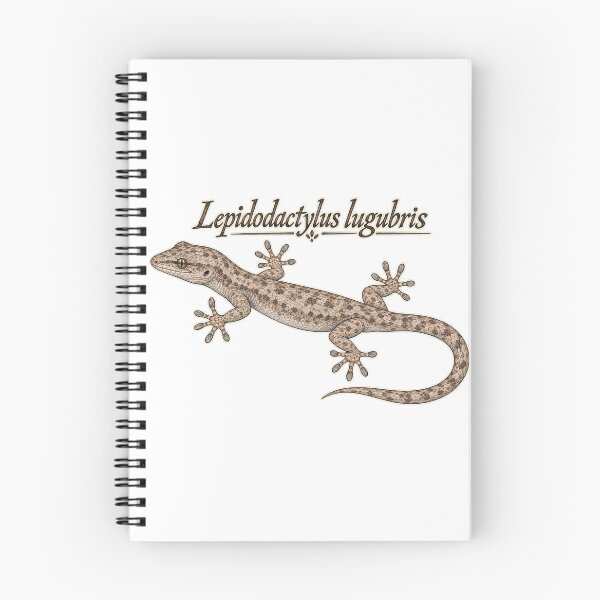 Item preview, Mourning Gecko - *Lepidodactylus lugubris* designed and sold by threadandfangs.