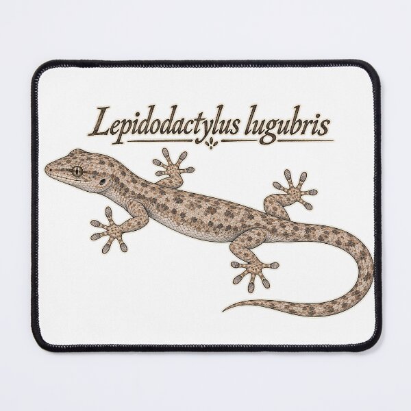 Item preview, Mourning Gecko - *Lepidodactylus lugubris* designed and sold by threadandfangs.