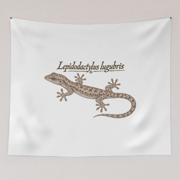 Item preview, Mourning Gecko - *Lepidodactylus lugubris* designed and sold by threadandfangs.