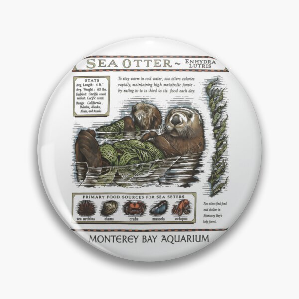 Item preview, Nutria marina del acuario de la bahía de Monterey designed and sold by HollisMonahan59.