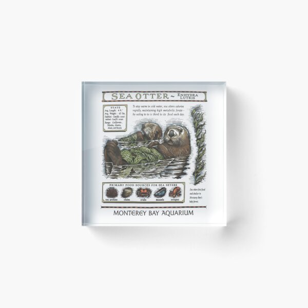 Item preview, Monterey bay aquarium otter - Sea otter designed and sold by HollisMonahan59.