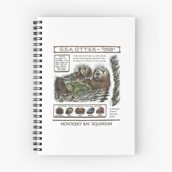 Item preview, Monterey bay aquarium otter - Sea otter designed and sold by HollisMonahan59.
