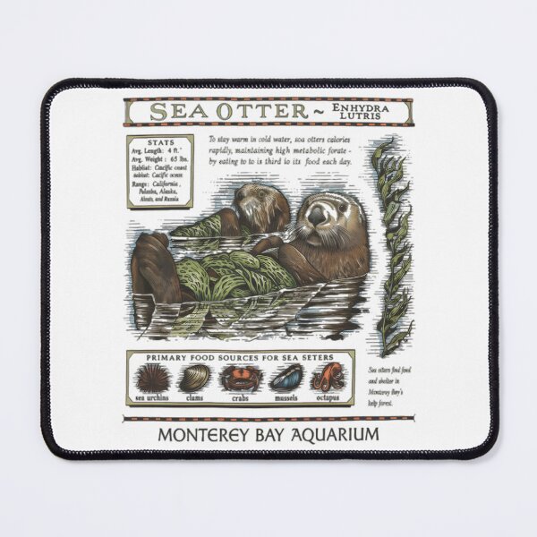 Item preview, Monterey bay aquarium otter - Sea otter designed and sold by HollisMonahan59.
