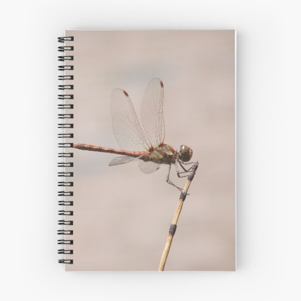 Item preview, Foto DragonFly designed and sold by Diezijnleuk.