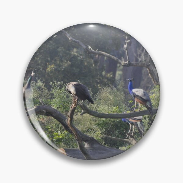 Item preview, Peacock India's National Bird in the Wild designed and sold by zedakxis.