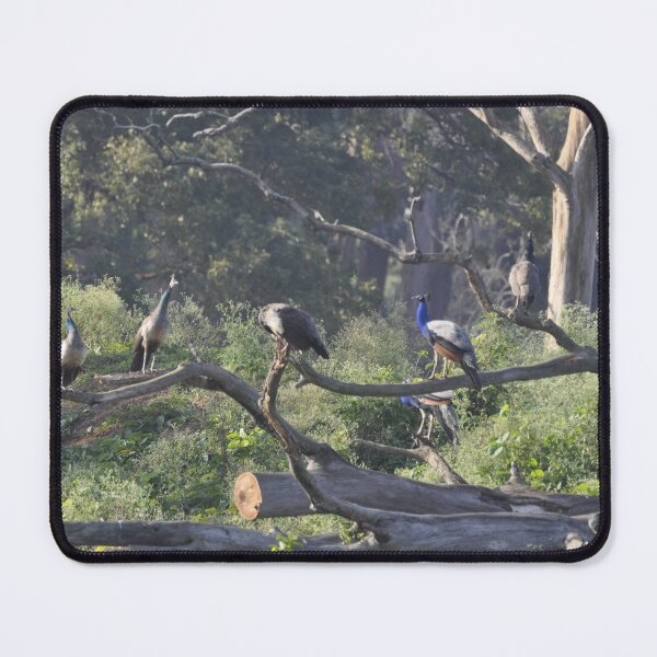 Item preview, Peacock India's National Bird in the Wild designed and sold by zedakxis.