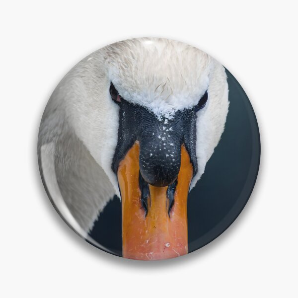Item preview, Elegant White Swan – Graceful Water Bird Nature Photography designed and sold by StasKopyl.