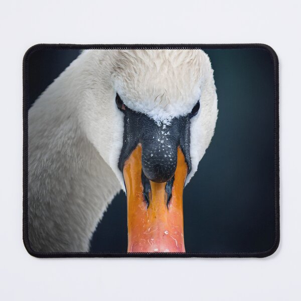 Item preview, Elegant White Swan – Graceful Water Bird Nature Photography designed and sold by StasKopyl.