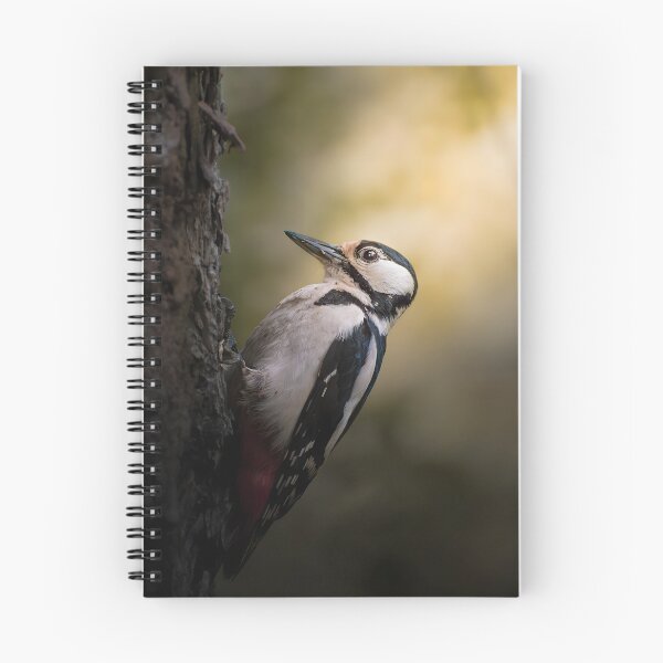 Item preview, Woodpecker on Tree Trunk – Beautiful Forest Wildlife Photography designed and sold by StasKopyl.
