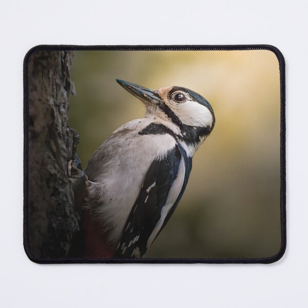 Item preview, Woodpecker on Tree Trunk – Beautiful Forest Wildlife Photography designed and sold by StasKopyl.