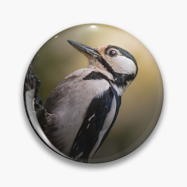Item preview, Woodpecker on Tree Trunk – Beautiful Forest Wildlife Photography designed and sold by StasKopyl.