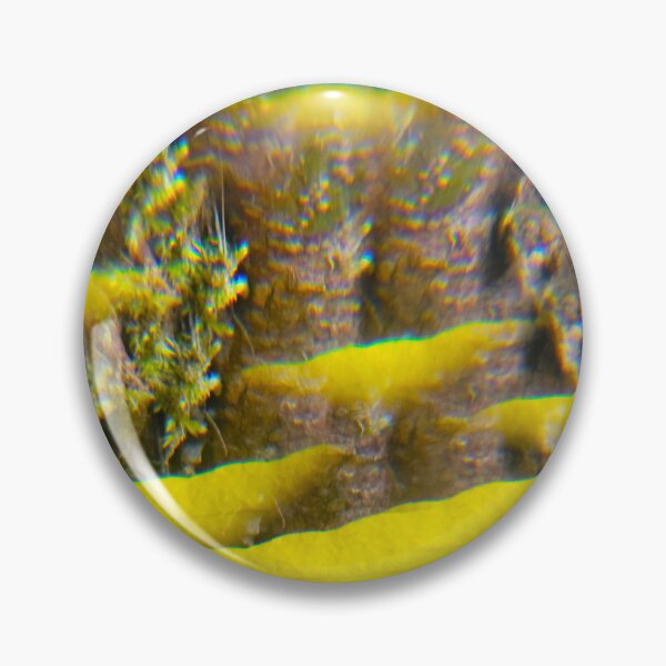 Item preview, Golden Mushrooms Mirage: The Ancient Forest designed and sold by ElionSolis.