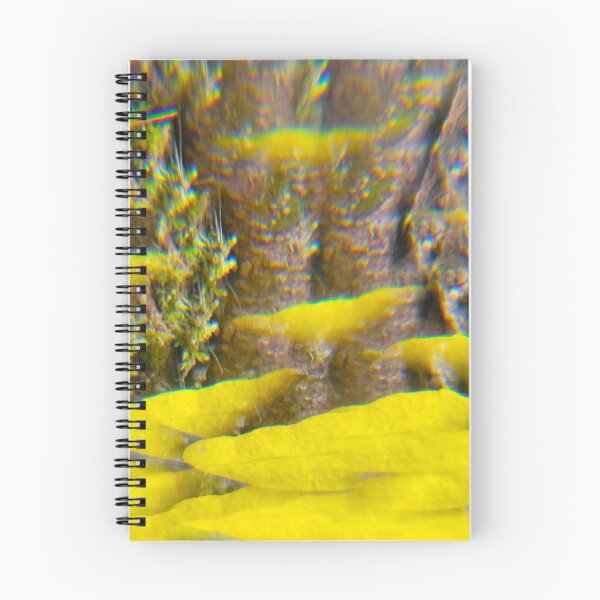 Item preview, Golden Mushrooms Mirage: The Ancient Forest designed and sold by ElionSolis.