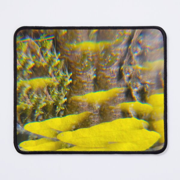 Item preview, Golden Mushrooms Mirage: The Ancient Forest designed and sold by ElionSolis.