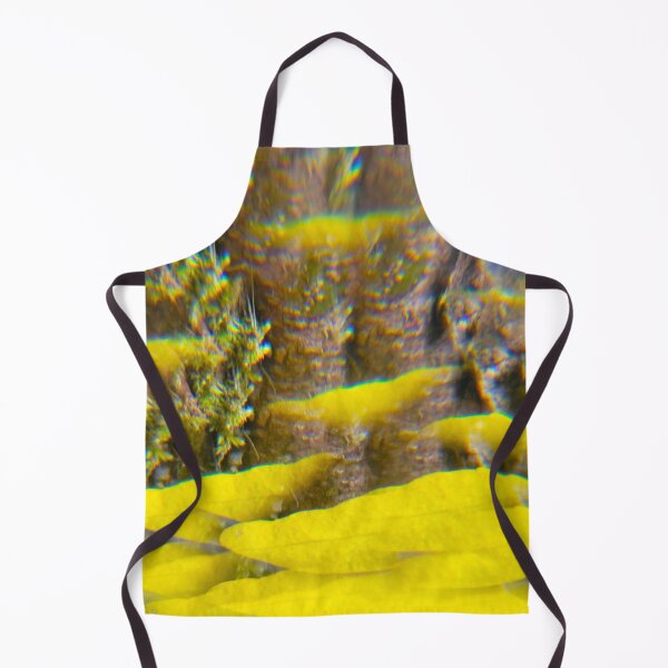 Item preview, Golden Mushrooms Mirage: The Ancient Forest designed and sold by ElionSolis.