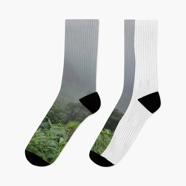 Item preview, Songbirds Atlasjet Airlines Nature designed and sold by jepnmea.