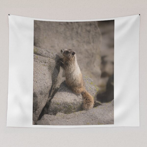 Item preview, Birdwatching Asterix bAdventure Design designed and sold by jepnmea.