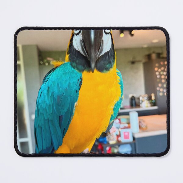 Item preview, Colorful Asterix Macaw Portrait designed and sold by jepnmea.