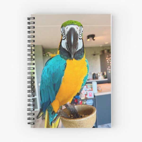 Item preview, Colorful Asterix Macaw Portrait designed and sold by jepnmea.