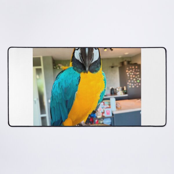 Item preview, Colorful Asterix Macaw Portrait designed and sold by jepnmea.