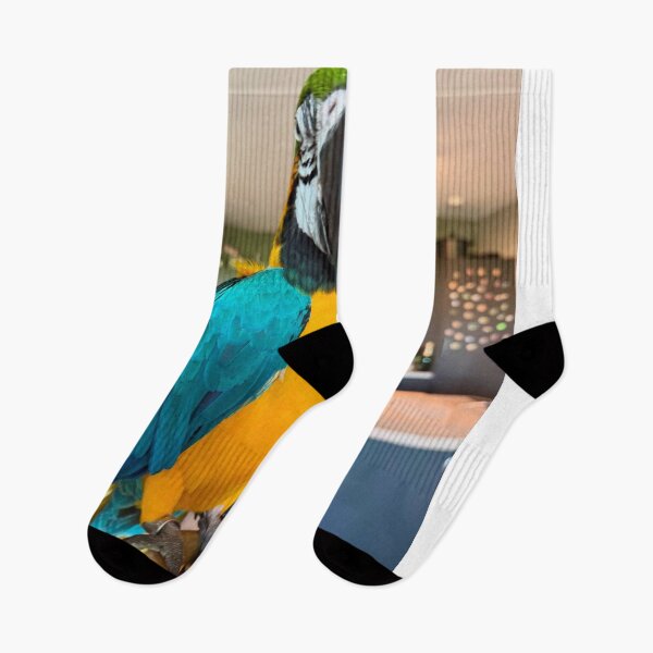 Item preview, Colorful Asterix Macaw Portrait designed and sold by jepnmea.