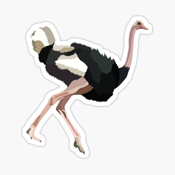Outrageous Ostrich Graphic Sticker