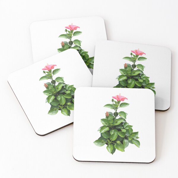 Item preview, Pink Hibiscus Flower Plant designed and sold by EleniA8.