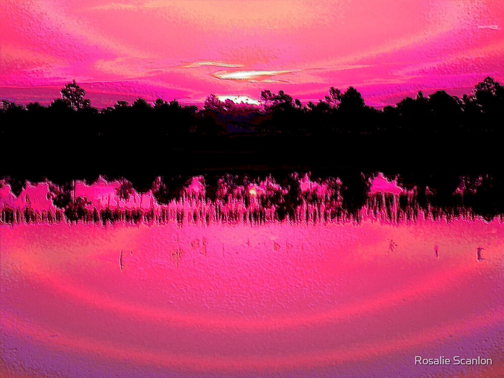 &Quot;Hot Pink Sunset&Quot; By Rosalie Scanlon | Redbubble