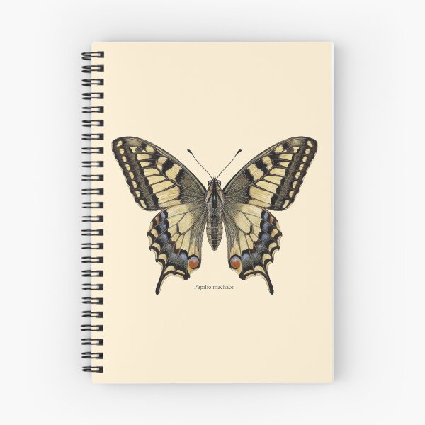 Item preview, The Surgeon’s Stinkhorn: Papilio Machaon Entomological Art Print designed and sold by FreiherrPK.