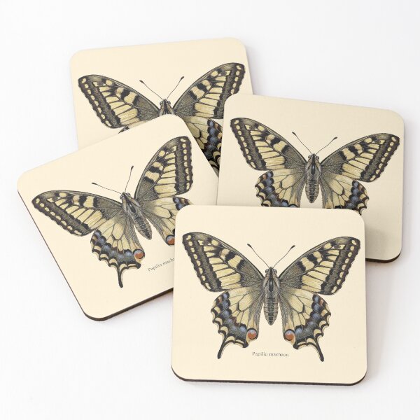 Item preview, The Surgeon’s Stinkhorn: Papilio Machaon Entomological Art Print designed and sold by FreiherrPK.